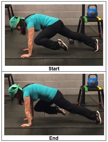 Mountain Climbers