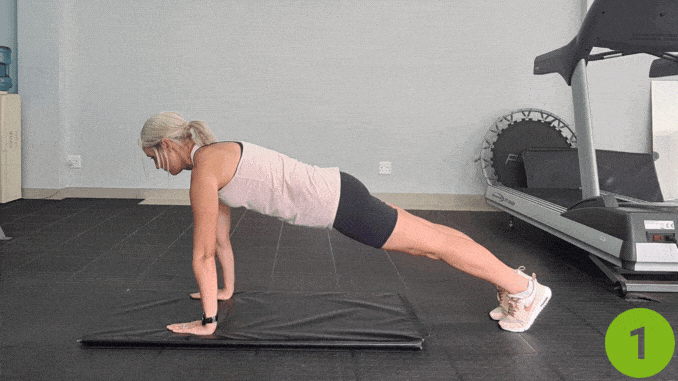 Plank
