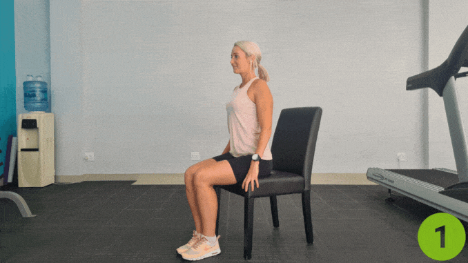 Seated Knee Extensions