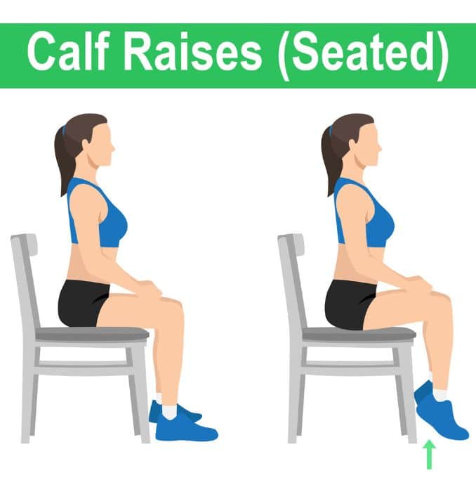 Calf Raises (Seated)