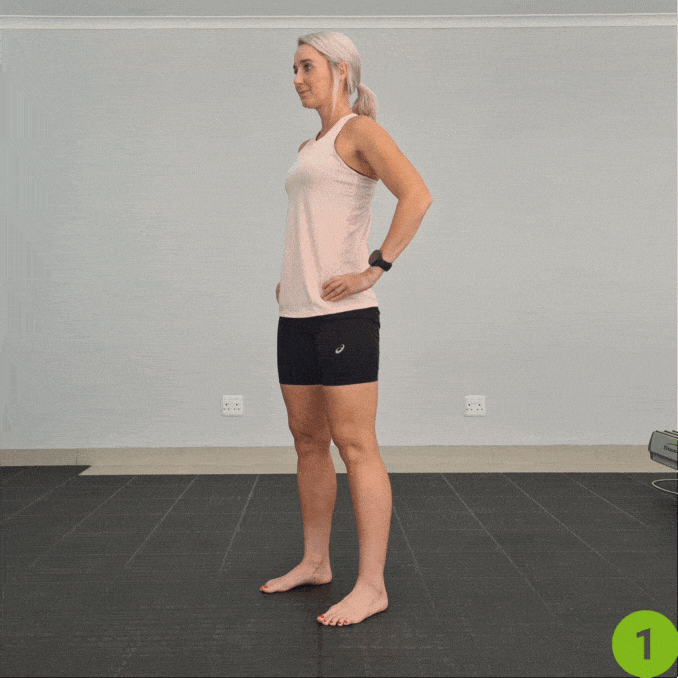 Squats - Bleacher Exercises