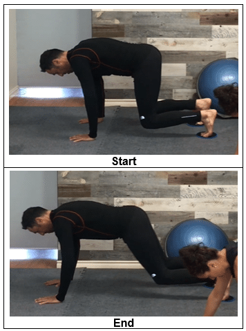 dynamic bear crawl - fitness sliders