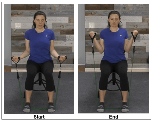 bicep curls - seated upper body exercises