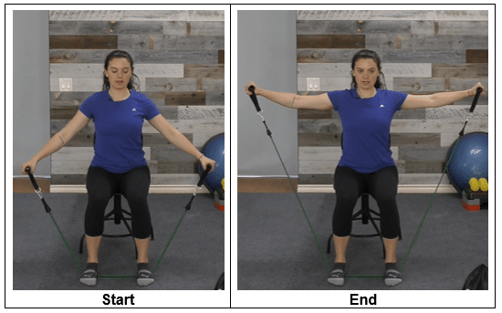 shoulder raises seated upper body exercises