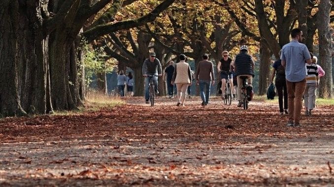 walk-tree-lined-avenue - Tight Psoas Muscles