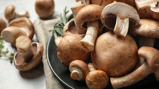 Fresh wild mushrooms