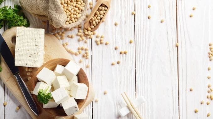 Soy Bean curd tofu