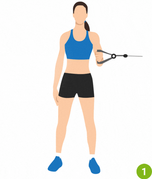 Shoulder Internal Rotation (Strengthening)