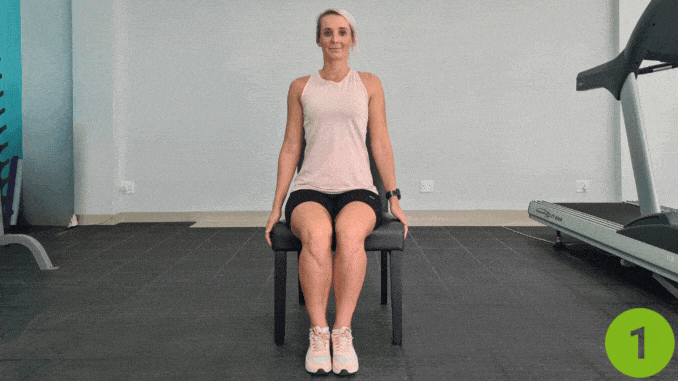 Shoulder Shrugs