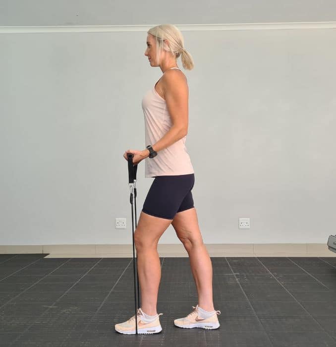Bicep Curls 1