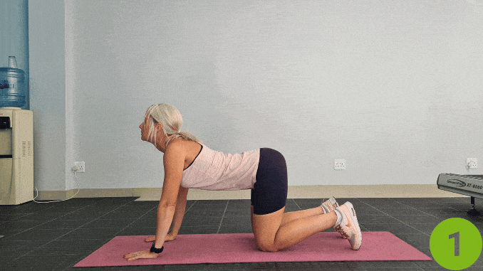Cat-Cow Stretch (Spinal Mobility & Pain Relief)- Tailbone Pain Relief Exercises