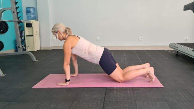 Plank Variation 1 Lateral view