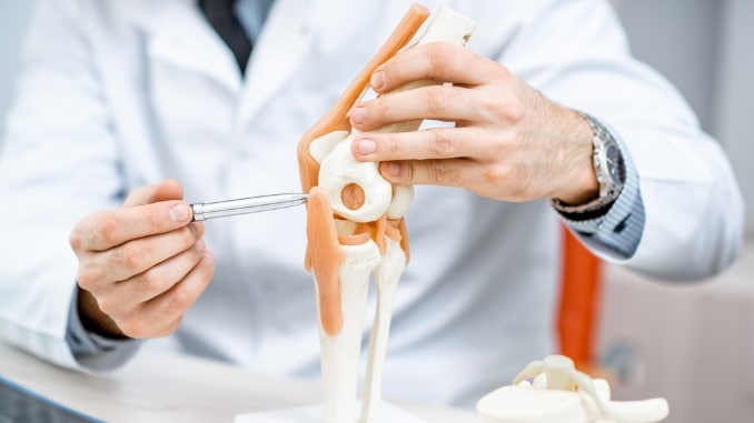 Knee Joint