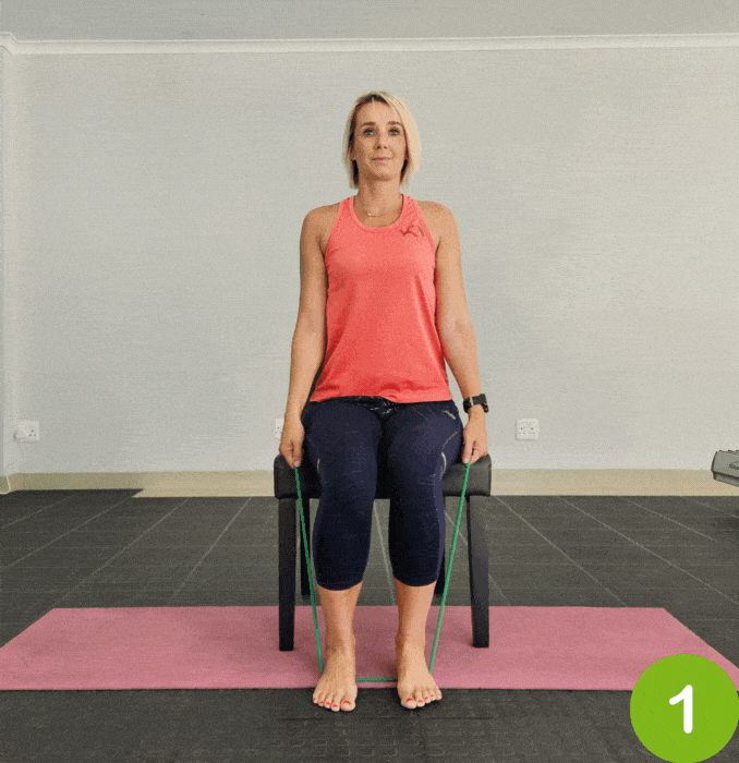 Seated Resistance Band Biceps