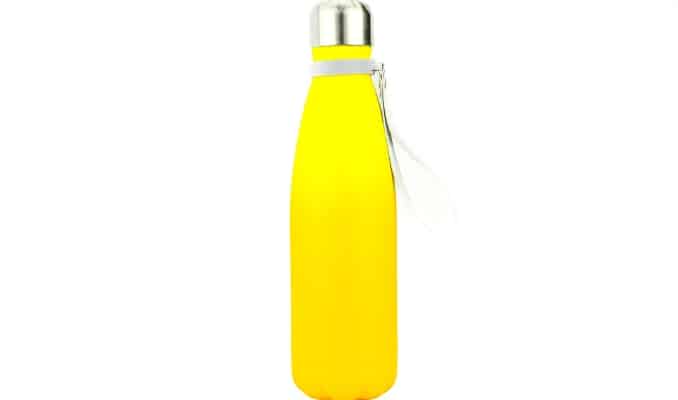 Insulated Stainless Steel Water Bottle