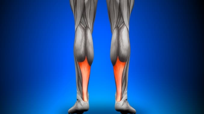 Achilles Tendon