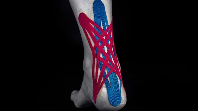Anatomy of the Calf Muscles