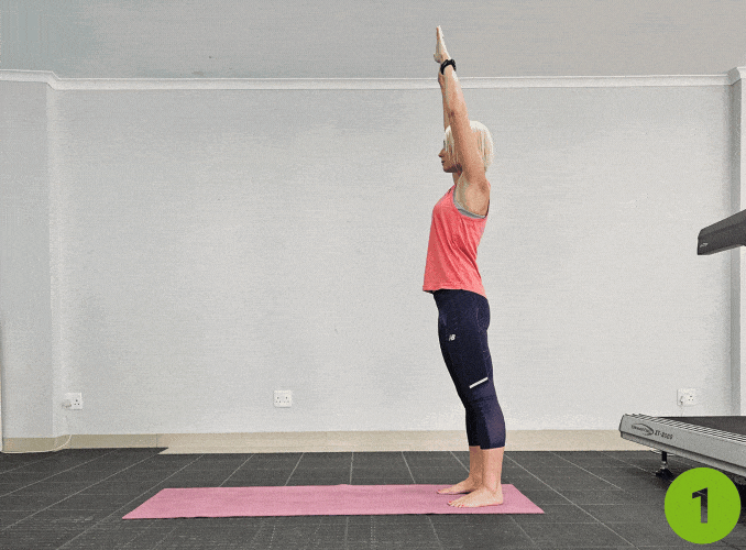 Forward Fold to Plank
