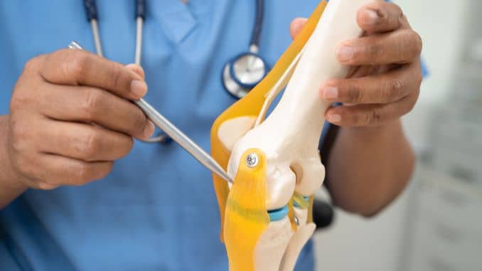 knee-doctor-holding-human-joint