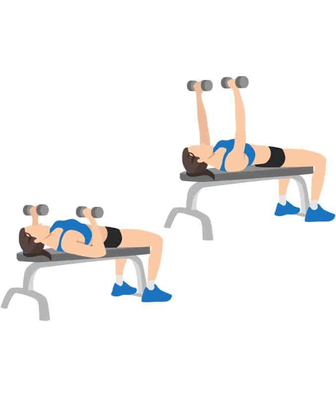 Bench Press