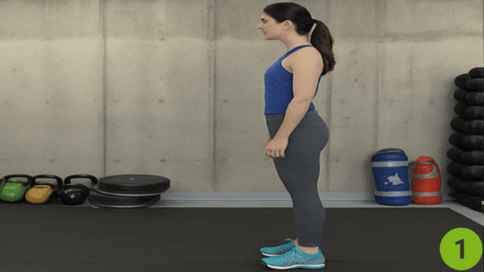 Inchworms- foam roller routine
